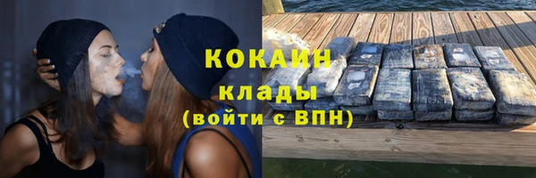 мдпв Коряжма