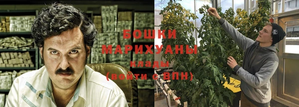 прущие грибы Костерёво