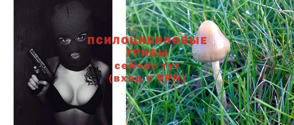 молекула духа Кулебаки