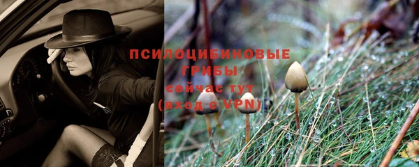 молекула духа Кулебаки