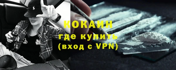 молекула духа Кулебаки