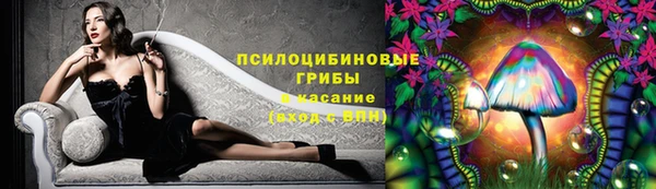 стаф Куйбышев
