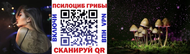 даркнет сайт Красновишерск гидра вход Галлюциногенные грибы Psilocybine cubensis
